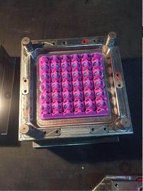 Plastik Yumurta Tepsi Kalıp İçin Özel Enerji Tasarruflu Enjeksiyon Makinesi